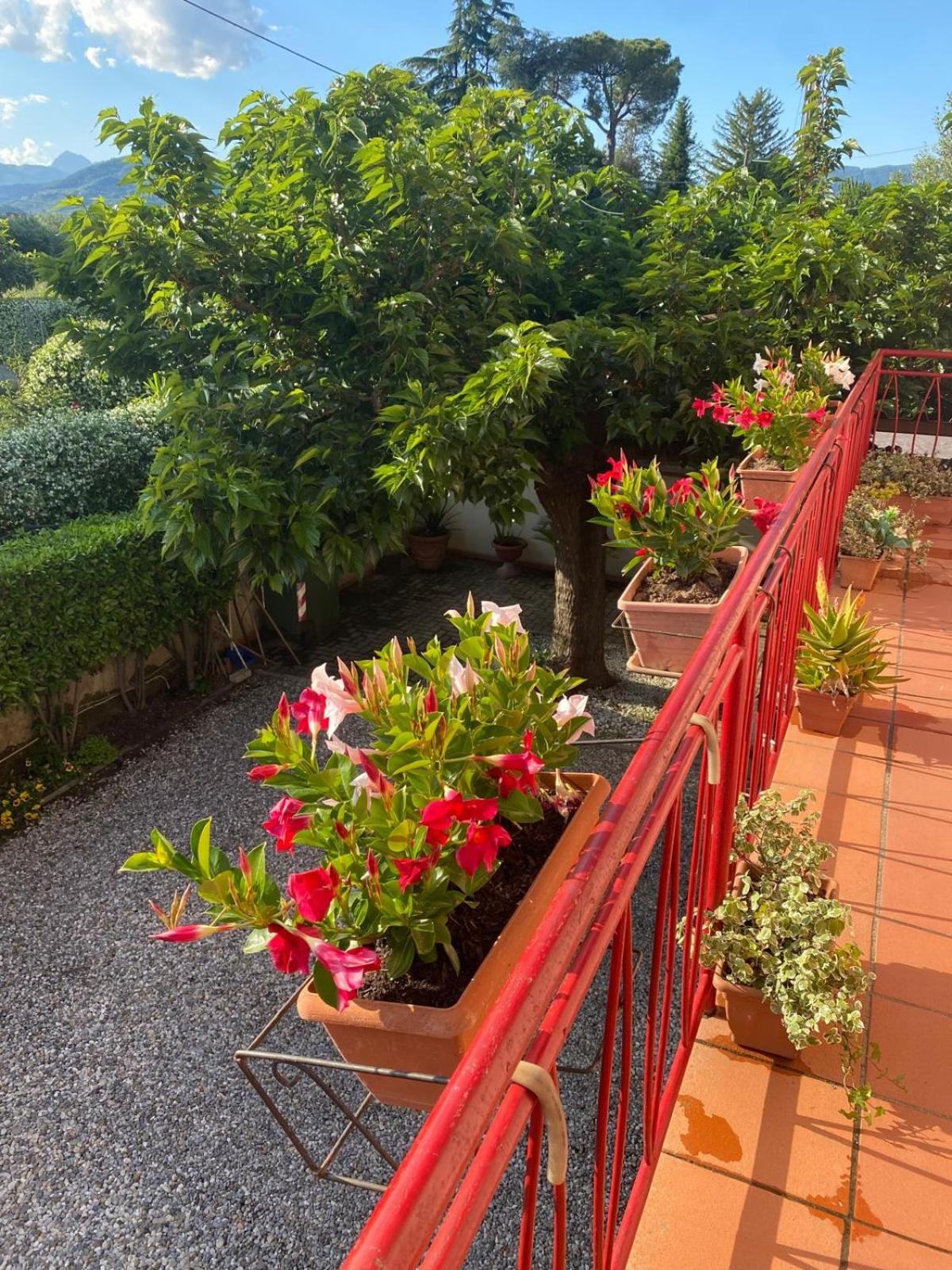 Casa Mary Villa Lucca Eksteriør bilde